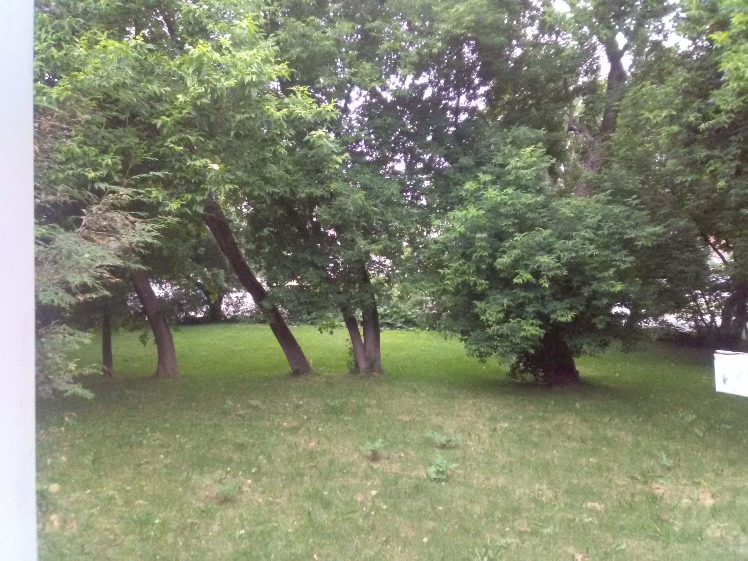 Estrie Sherbrooke Location Appart. 5 pices+ 5 et demi au centre ville de sherbrooke